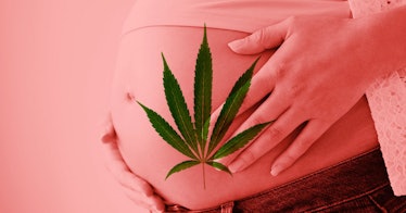 redscale edit of a pregnant person with their hands on their stomach, and a weed leaf overlaid.