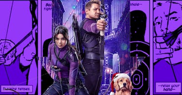 Hailee Steinfeld as Kate Bishop and Jeremy Renner as Clint Barton next to a golden retriever with a ...