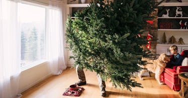 Father and son setting up a Christmas traditions tree