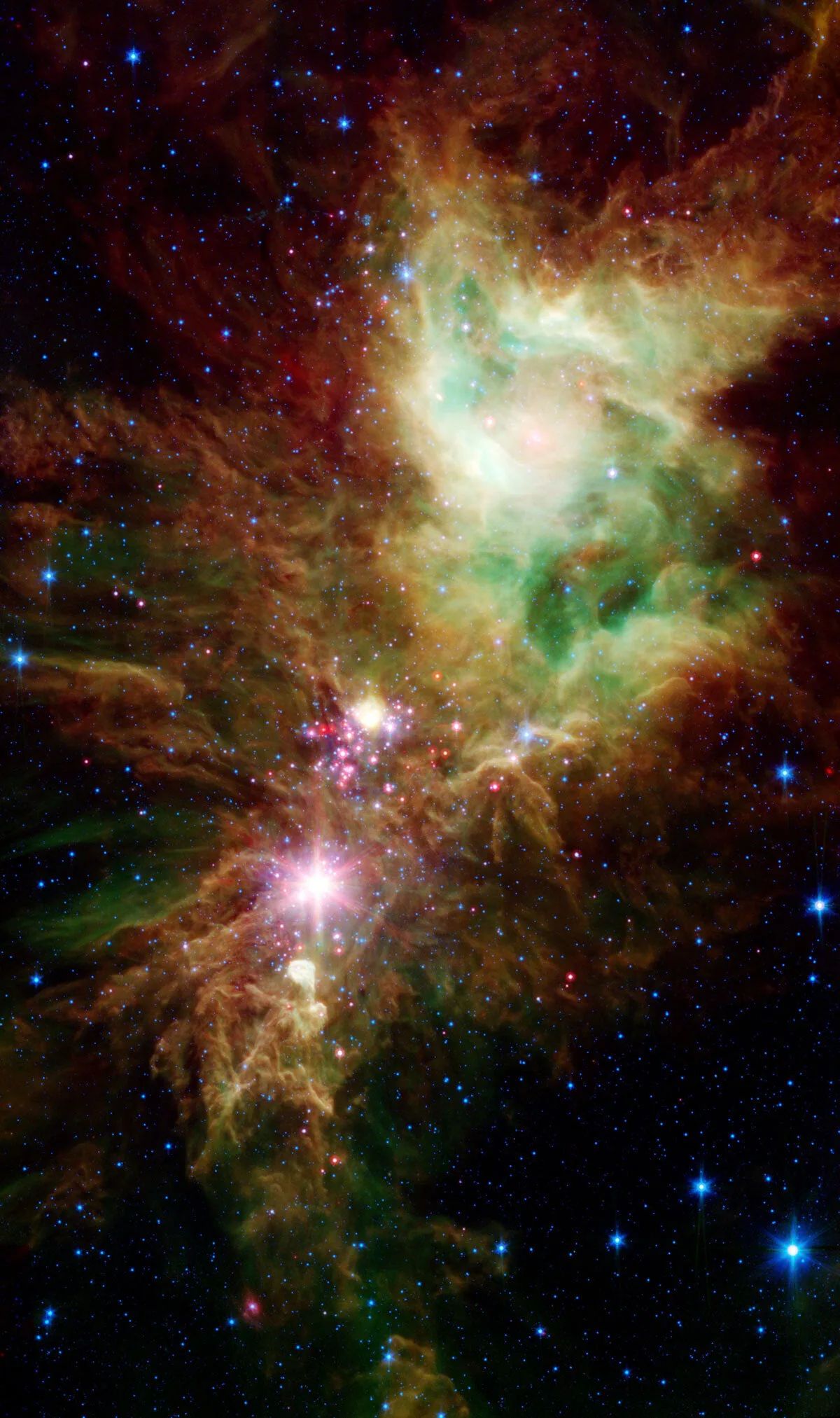 Christmas Tree Cluster of Stars Visible Now: How to See It