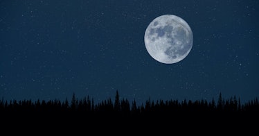Moon over a forest at night.
