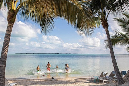 Family swimming in ocean with palm trees in foreground