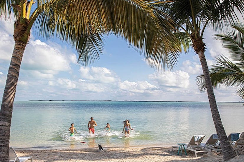 Family swimming in ocean with palm trees in foreground
