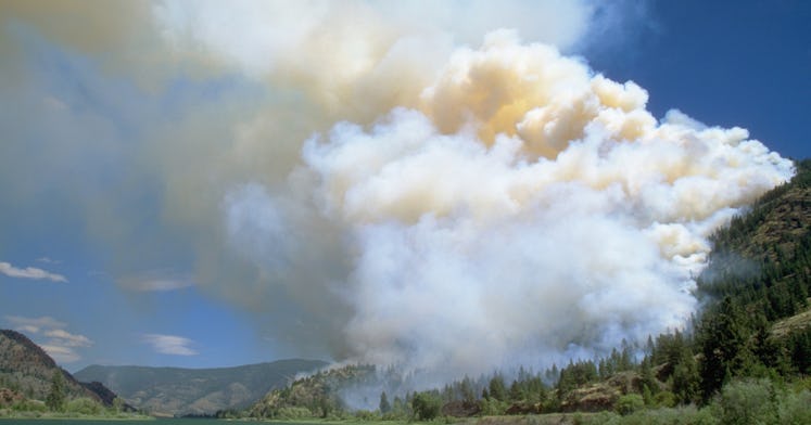 climate change montana forest fire