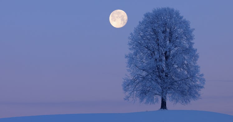 snow moon