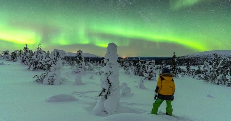 a person in Lapland, Finland, stands in the snow and looks at the Northern Lights