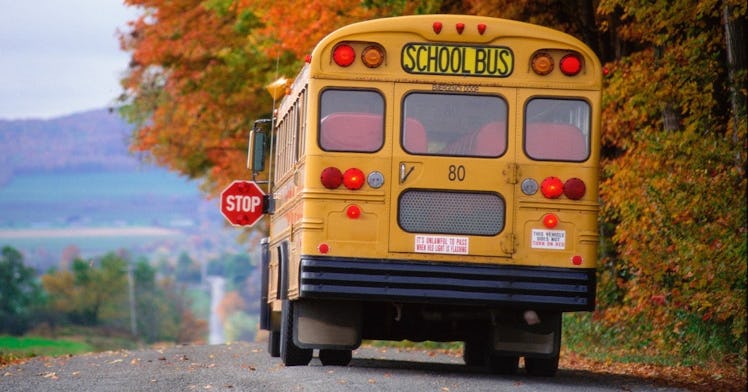 the back of a school bus drives down a road; there are fall leaves