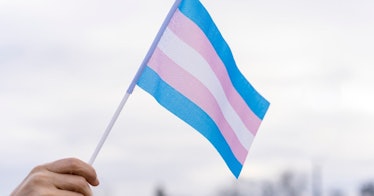 a Trans pride flag is waved