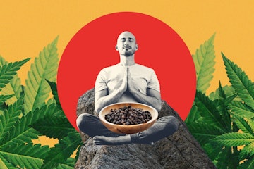 photo collage of a bearded man seated in lotus position surrounded by marijuana plants