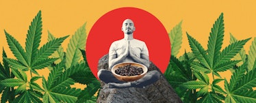 photo collage of a bearded man seated in lotus position surrounded by marijuana plants