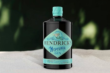 亨德里克的Neptunia