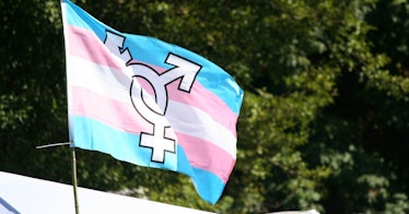 A trans pride flag waves in the wind