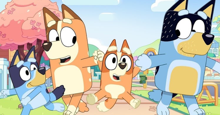 Bluey and family