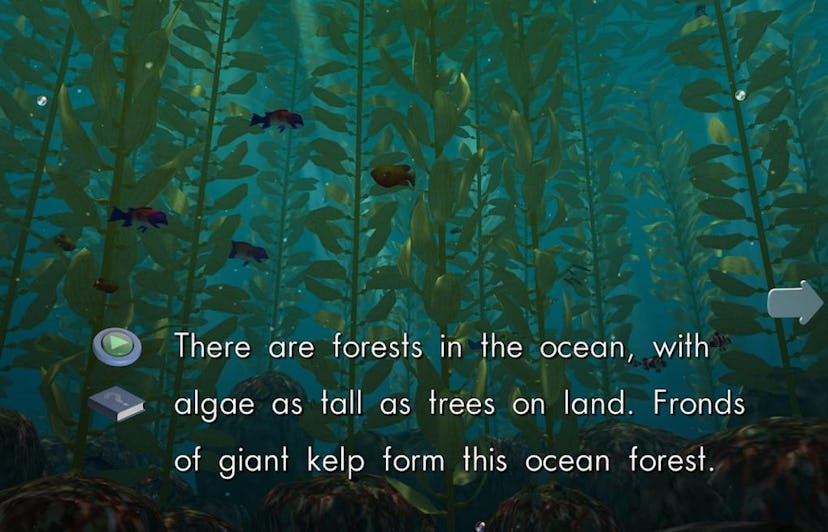 Ocean Forests -- reading and spelling apps
