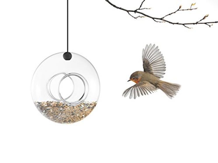 A Hanging Bird Feeder