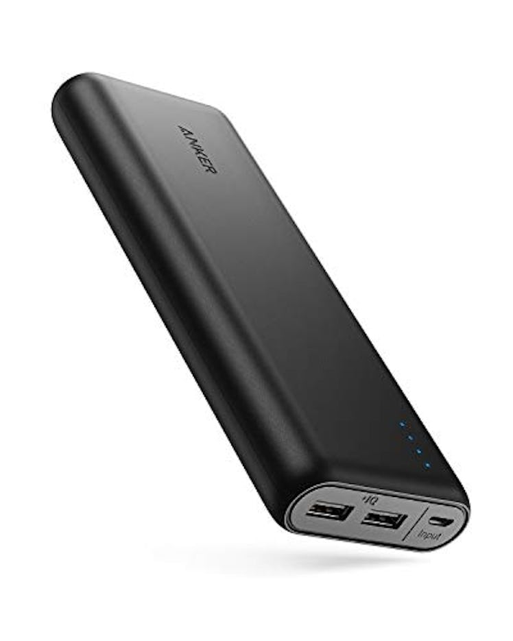 Best All-Around Backup Battery: Anker PowerCore 20100