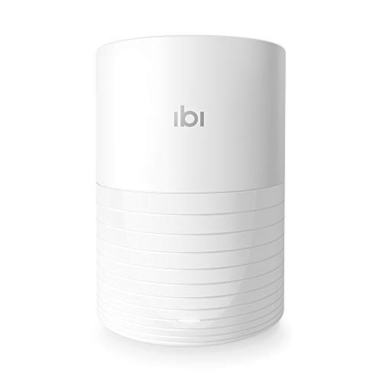 ibi Smart Photo Manager