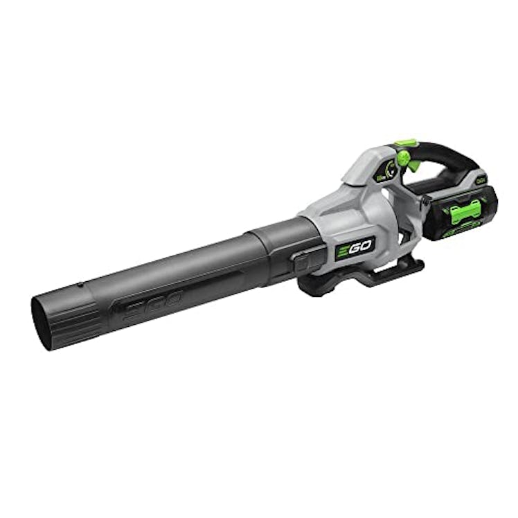 A Cordless Leaf Blower