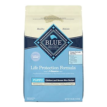 Best Puppy Food For Large and Small Breed Dogs