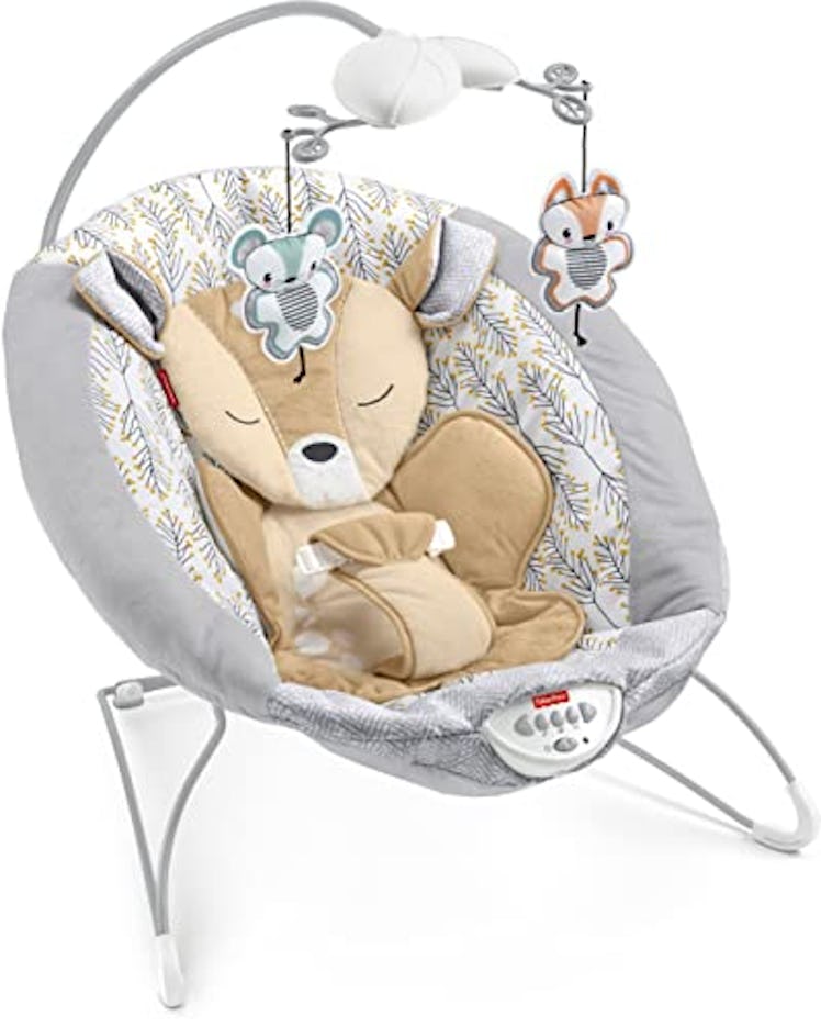 Fisher-Price Deluxe Baby Bouncer