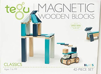 Tegu的磁性木块套装