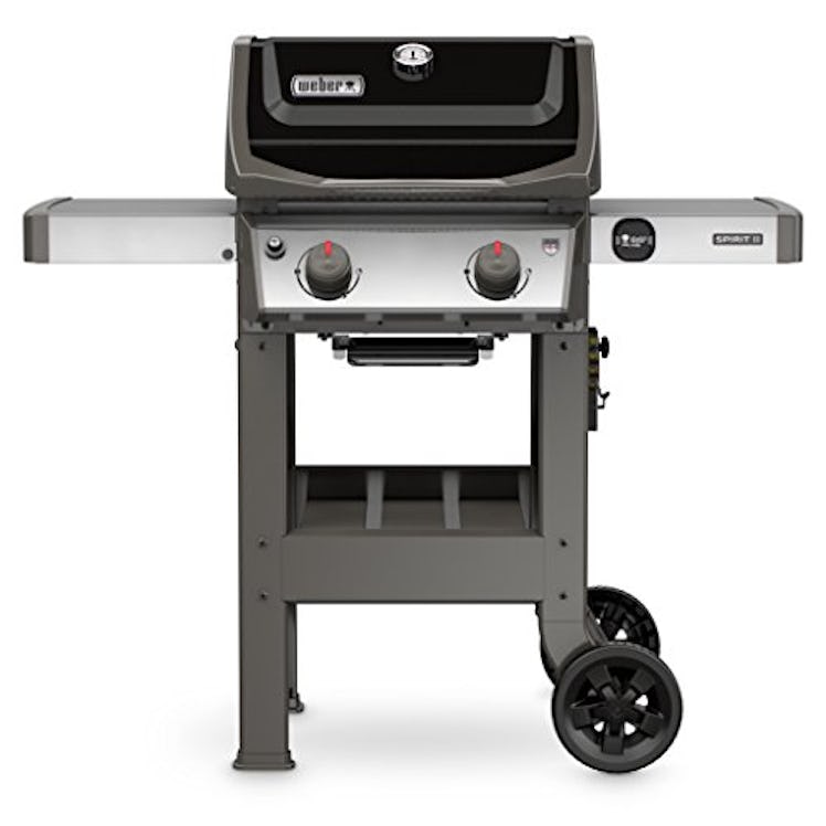 Weber 44010001 Spirit II E-210 2-Burner Liquid Propane Grill