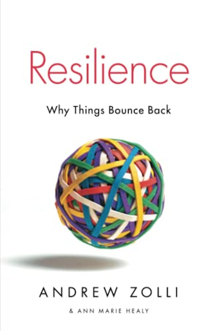 Resilience: Why Things Bounce Back