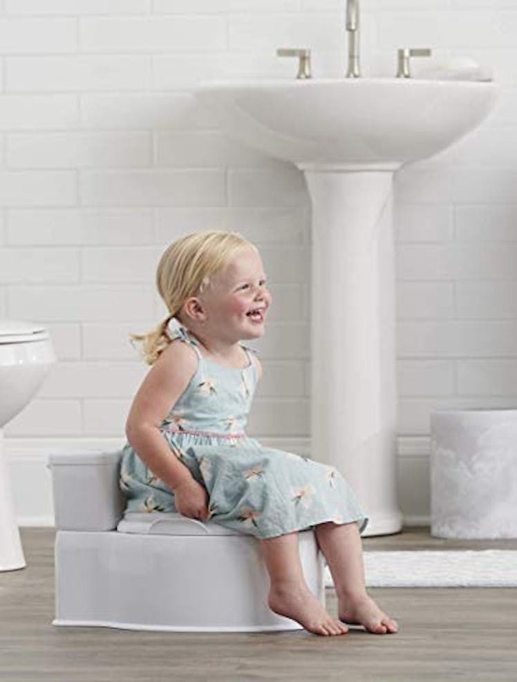 2-in-1 My Little Potty Training Toilet by Regalo