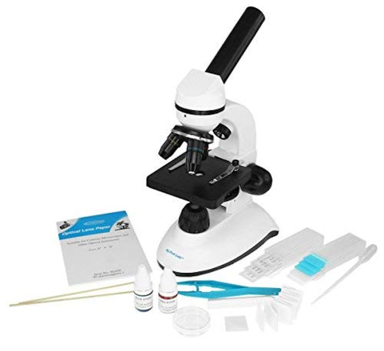 Duo-Scope Microscope by My First Lab