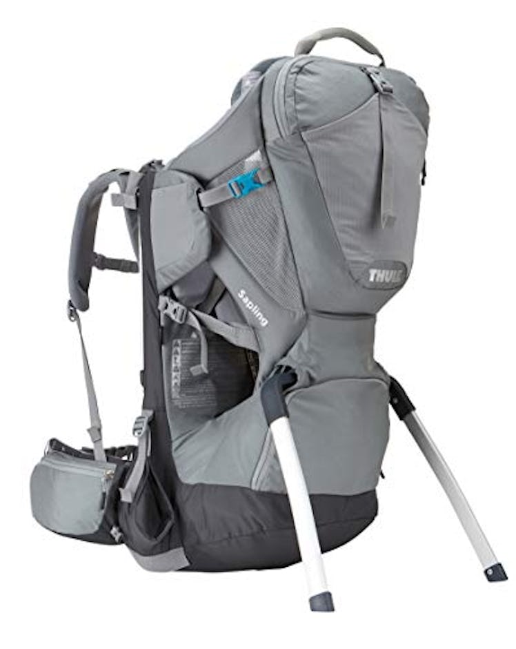 Thule Sapling Child Carrier