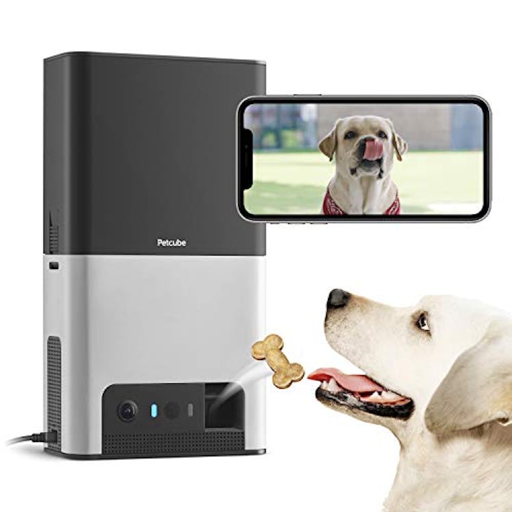 Bites 2 Wi-Fi Pet Camera by Petcube