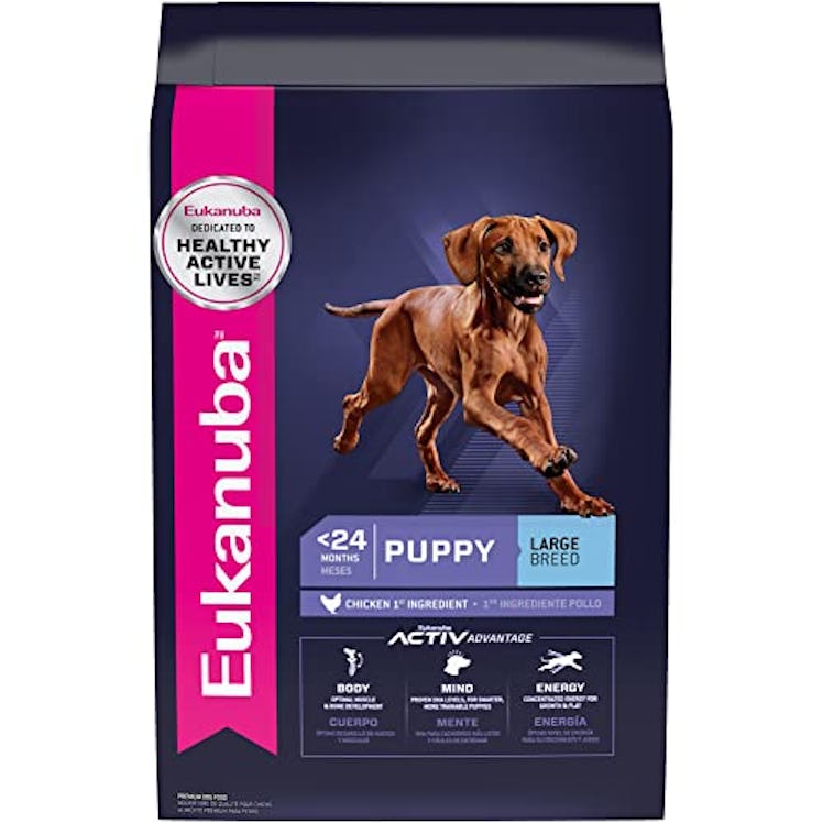 Eukanuba Puppy Large Breed Puppy Food