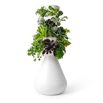24-Plant Farmstand Indoor Garden by Lettuce Grow