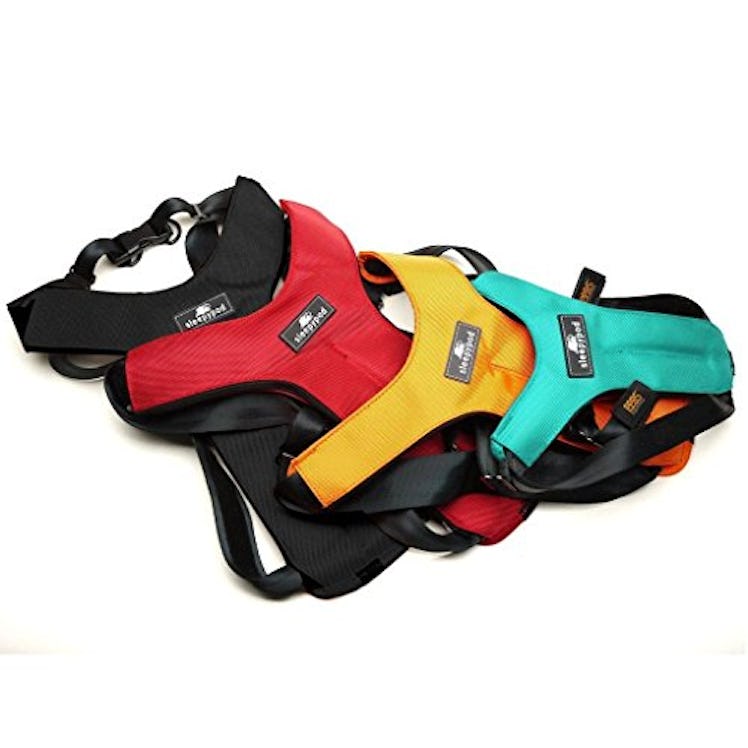 Sleepypod ClickIt Sport Crash-Tested Car Safety Dog Harness
