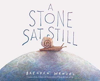 A Stone Sat Still: (Environmental and Nature Picture Book for Kids, Perspective Book for Preschool a...
