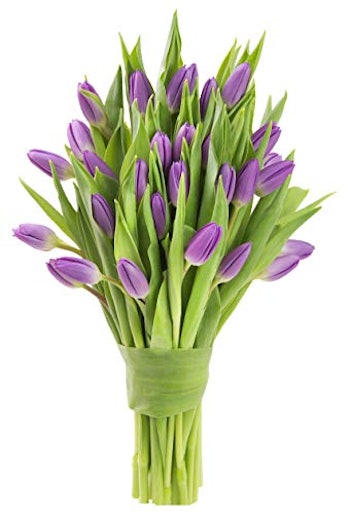 Blooms2Door 30 Purple Tulips Farm-Fresh Flowers