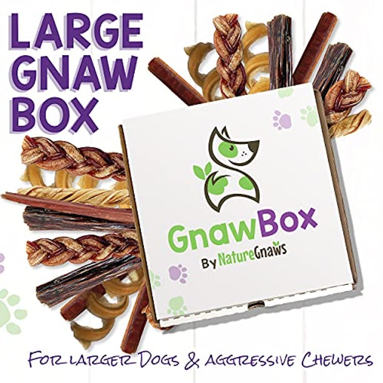 Gnaw Box Dog Subscription Box