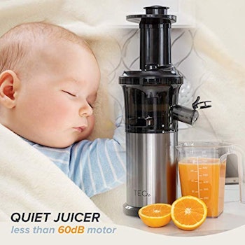 Aobosi Slow Masticating Juicer Extractor Compact Cold Press Juicer Machine with Portable Handle/Quie...
