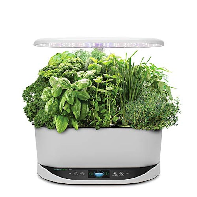 Harvest 360 Indoor Garden by AeroGarden