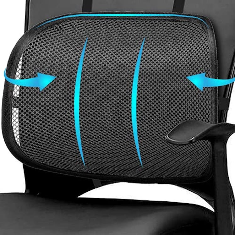 Easy Posture Lumbar Back Support Mesh