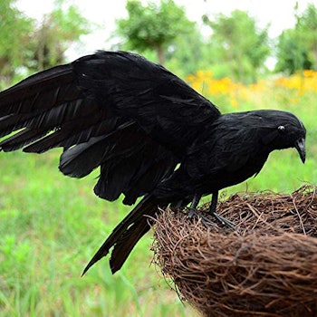 Realistic Raven