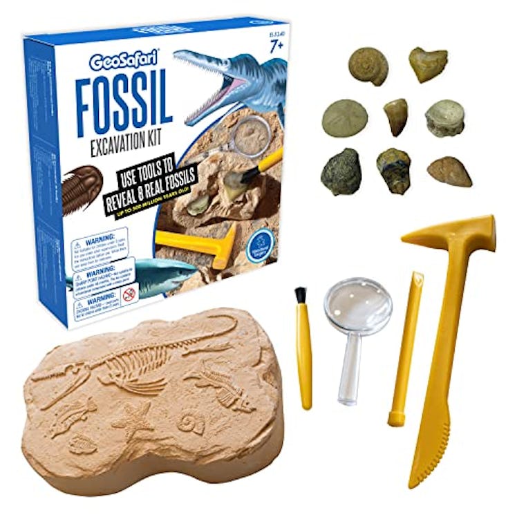 GeoSafari Fossil Excavation Kit by Educational Insights