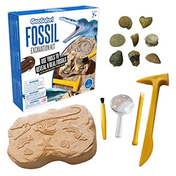 GeoSafari Fossil Excavation Kit by Educational Insights