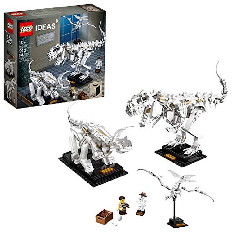 Lego Ideas 21320 Dinosaur Fossils Building Kit