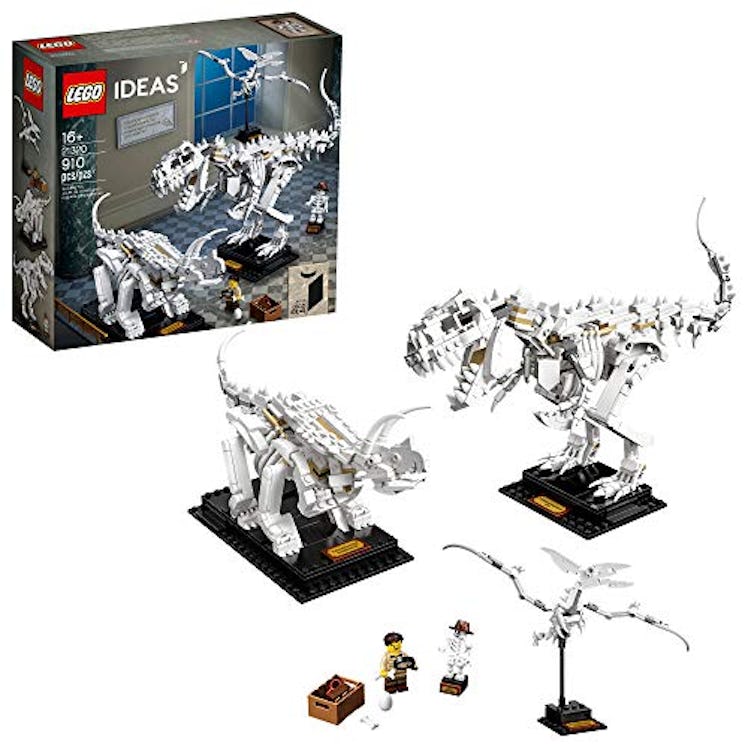 LEGO Ideas Dinosaur Fossils Building Kit