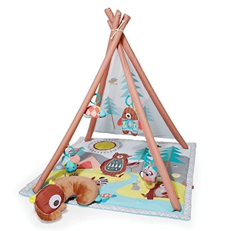 Skip Hop Baby Play Gym