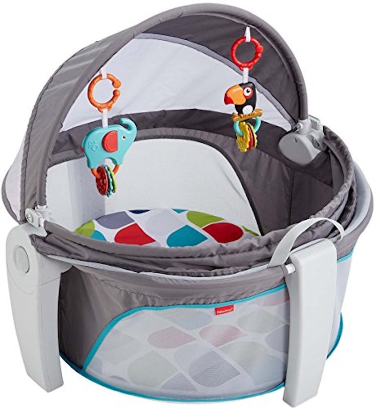 On-the-Go Baby Dome by Fisher-Price