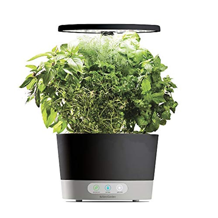 AeroGarden Harvest (Classic) with Gourmet Herb Seed Pod Kit