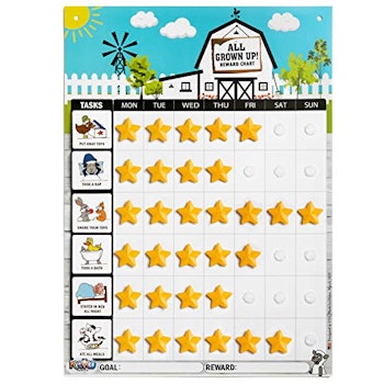 Playco Magnetic Reward Chart for Kids