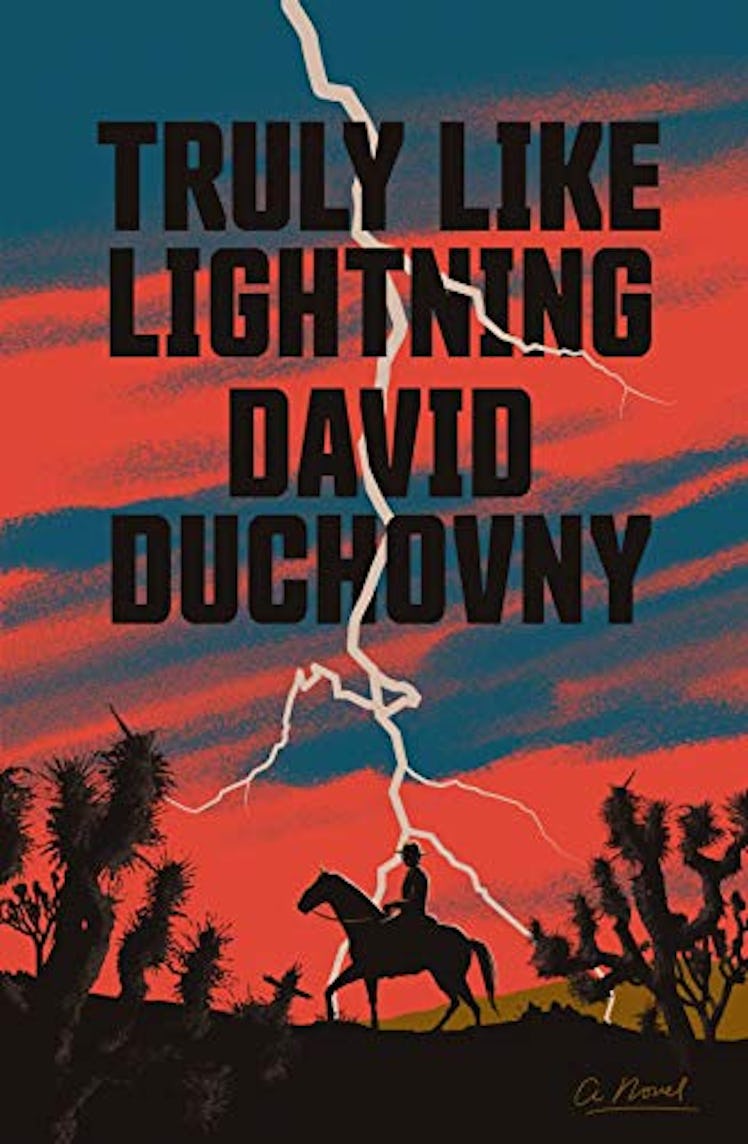 Truly Like Lightning: A Novel